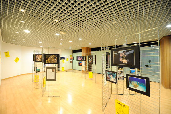 Salle exposition sous-marine PauPhoto